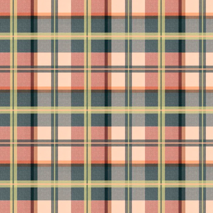 Cozy Plaid Decor