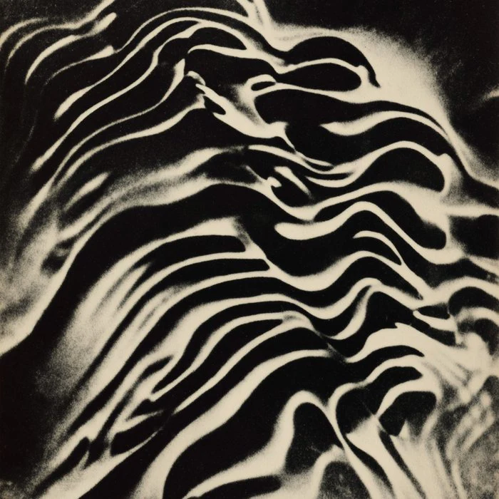 Black and White Abstract Waves - Modern Minimal Flow Art