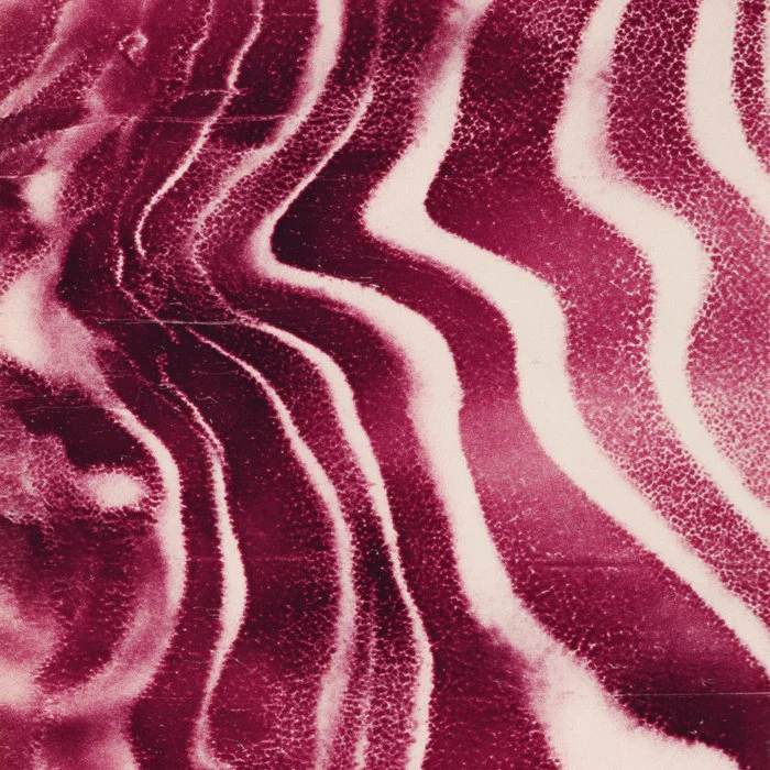 Burgundy Wave Lines - Modern Abstract Zebra Stripes
