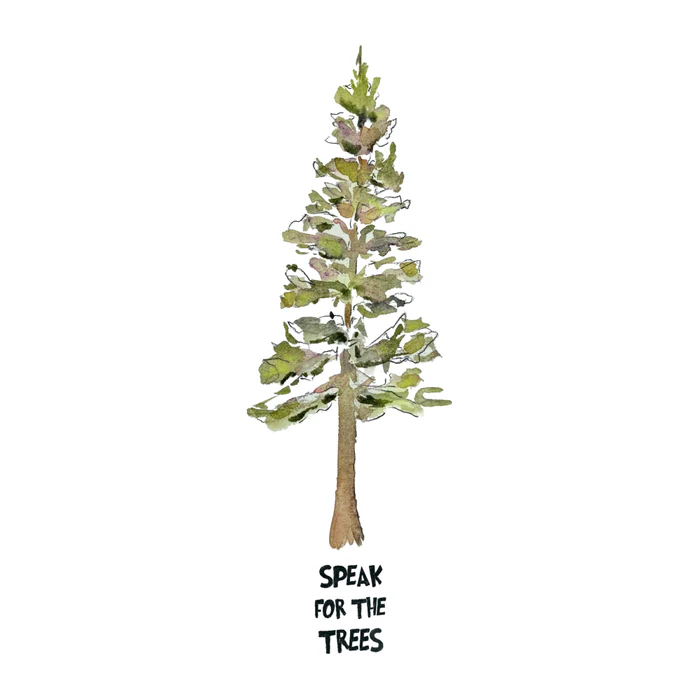 Lone Pine Tree - Watercolor Nature