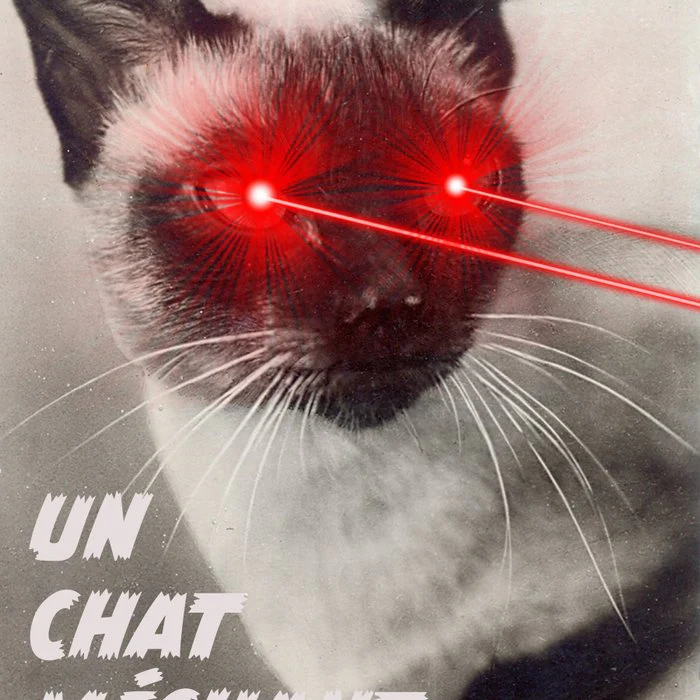 Un Chat Mechant (A Wicked Cat)