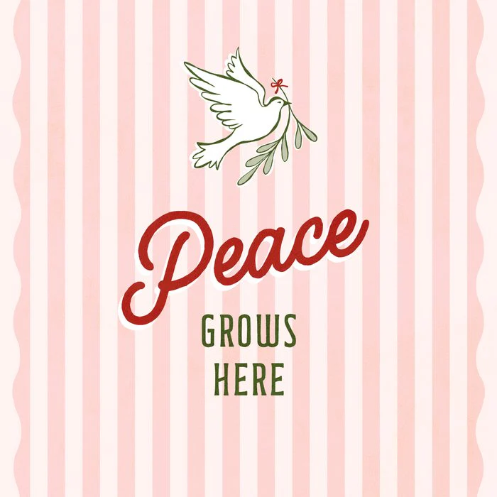 Peace grows here holiday dove  pastel peachy pink typographic holiday print