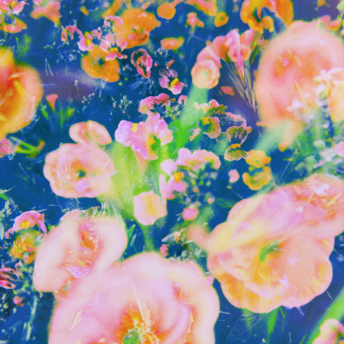 Blooming Impressions