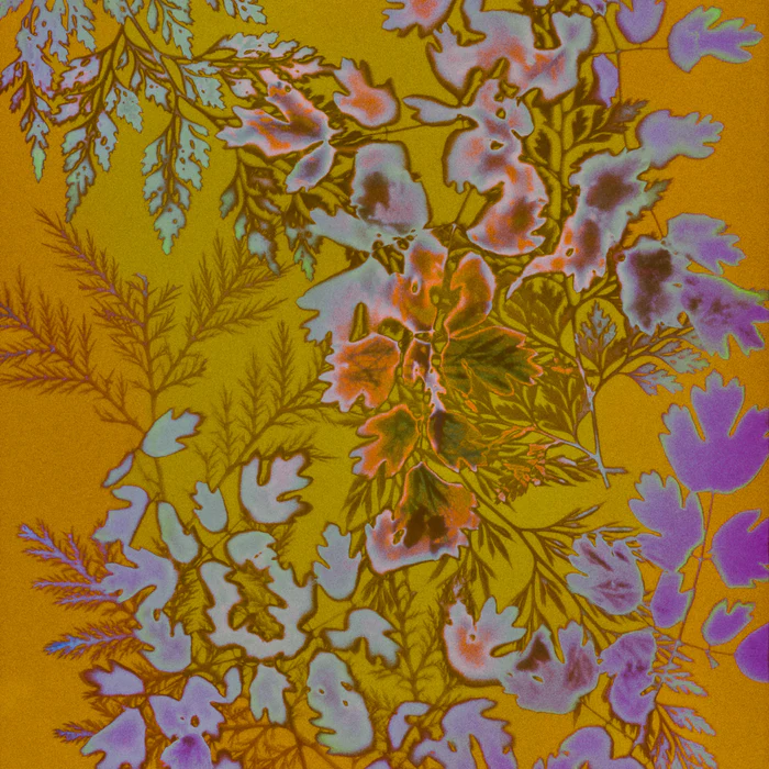 Everything To Everyone