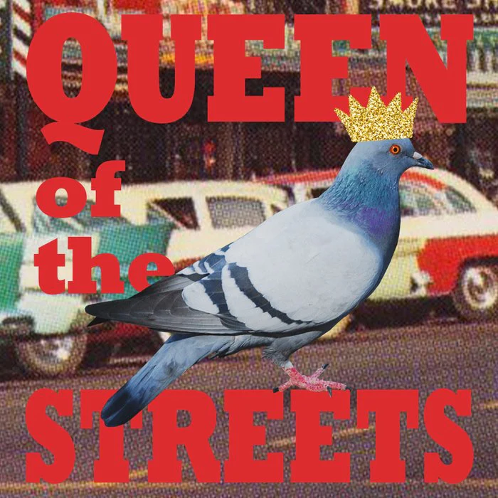 Queen of the Streets (The Pigeon)