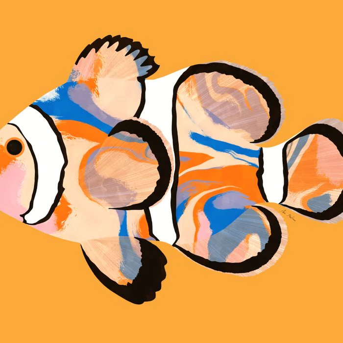 Clownfish