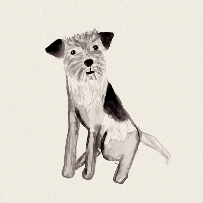 Jack the scruffy Jack Russell dog