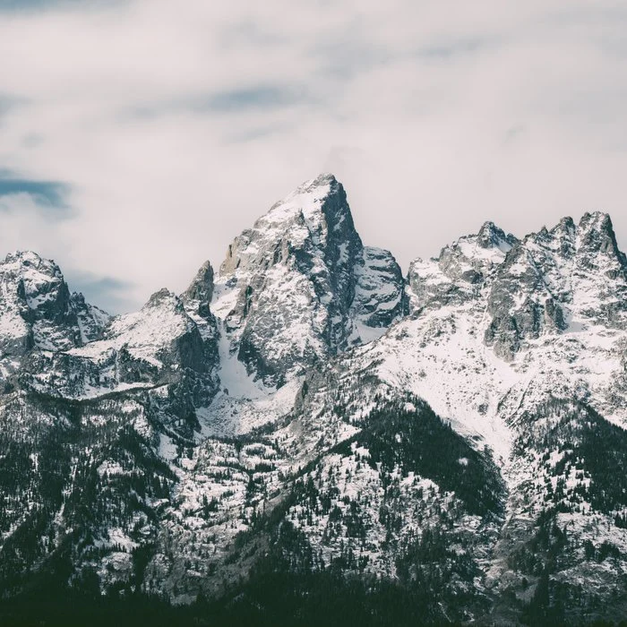 Grand Teton Winter Magick