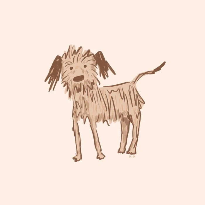 A cute scruffy dog called Lou