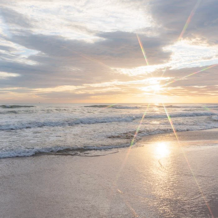 Golden Tide Serenity