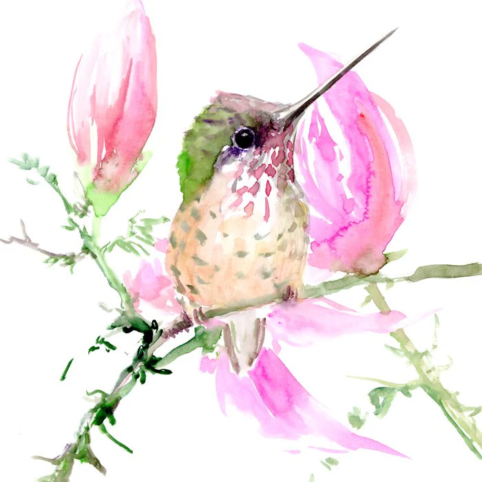 Little Hummingbird and Pink Flowers