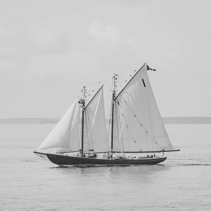 Bluenose II