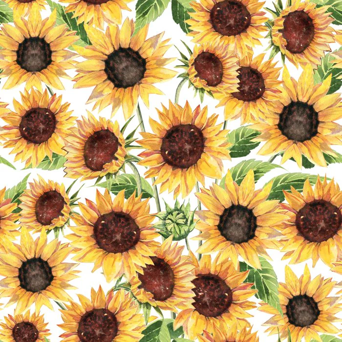 Sunflowers Lullaby