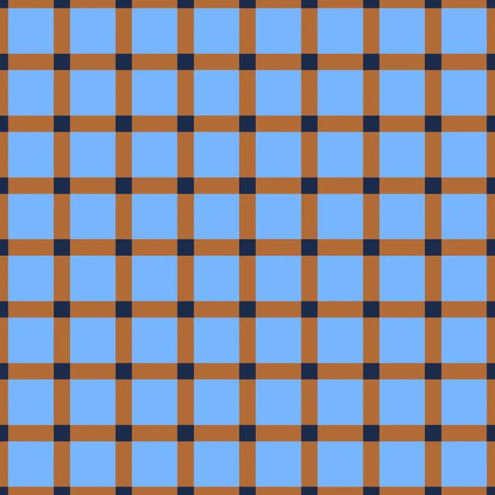 Rustic Blue and Brown Gingham Pattern