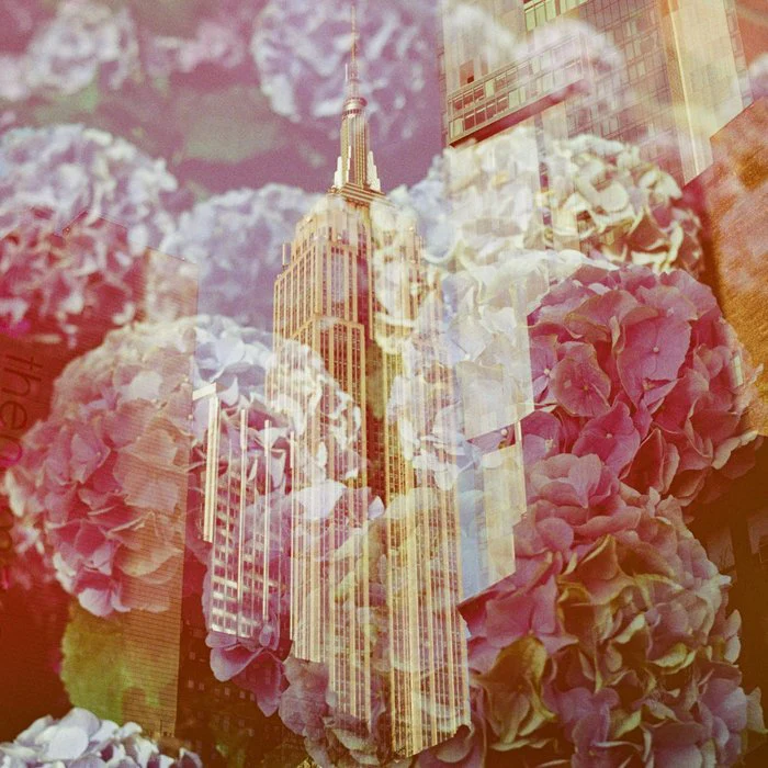 The Whole World Comes To You