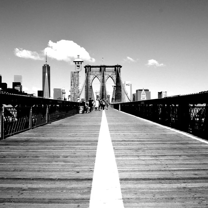 Brookly Bridge (crossing)