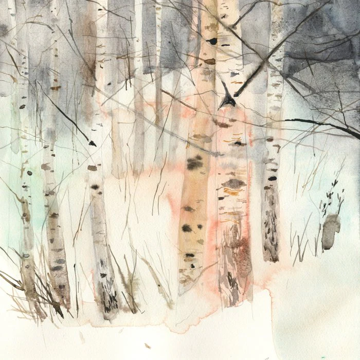 Snowy Winter Birch Forest