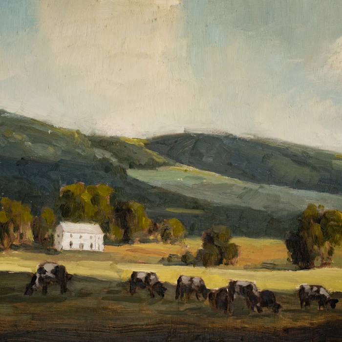 Maryland Cows in the Shade