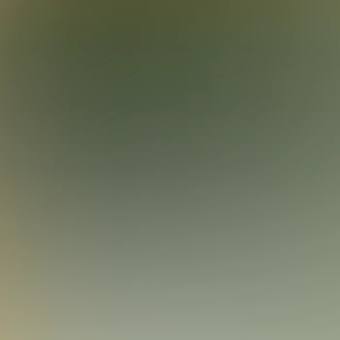 58  Modern Noise Gradient Ombre Background Boho Aesthetic 220317