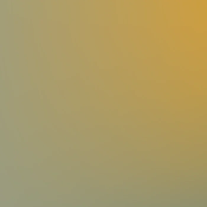 98  Modern Noise Gradient Ombre Background Boho Aesthetic 220317