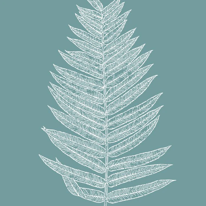 Boho Minimalist Fern in Teal Sage Green