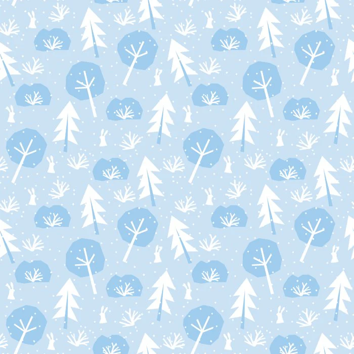 Snowy winter pattern