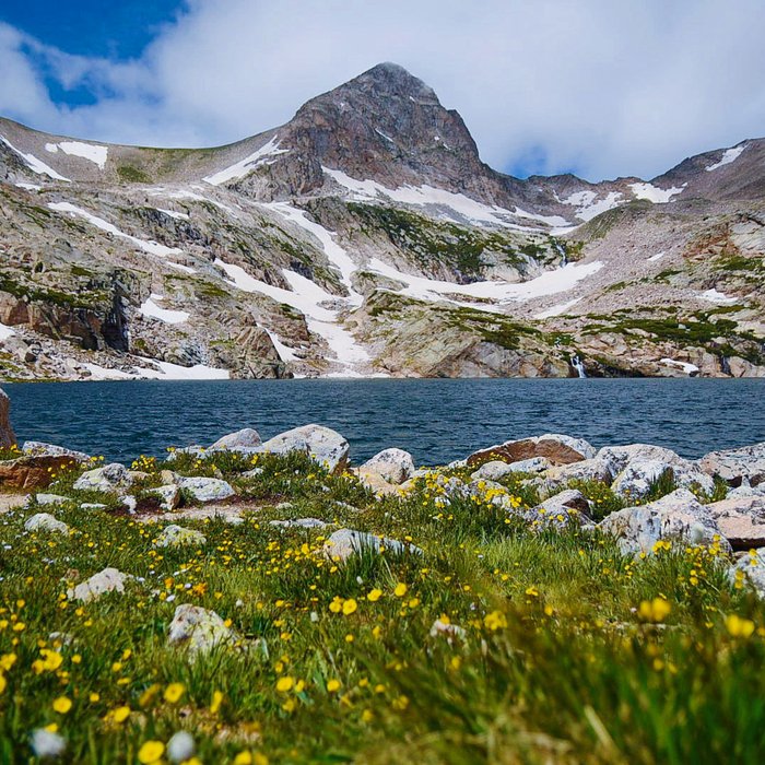 Blue Lake Wildflowers