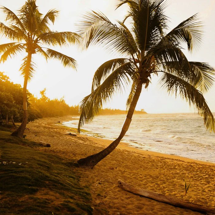 Villa Montana Sunset