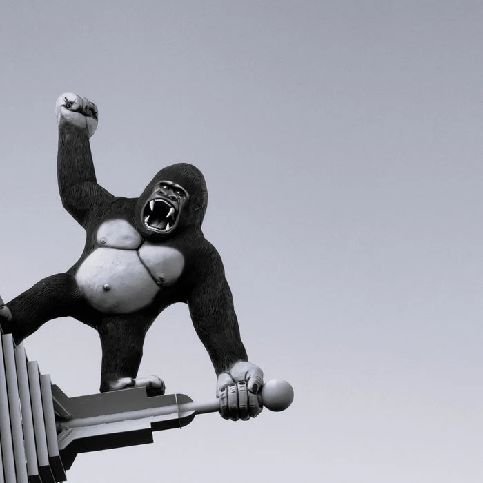 King Kong, New York funny humorous black and white photograph