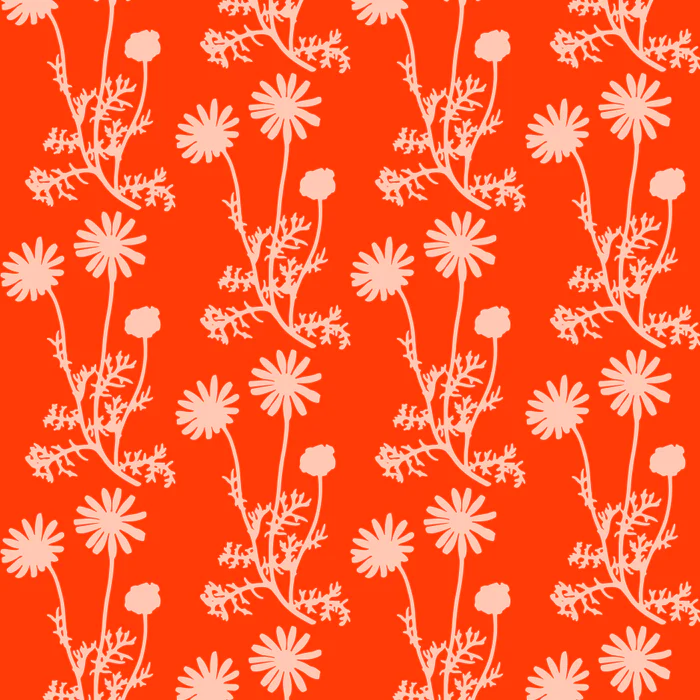 Wild Daisies Floral Botanical Pattern in Orange