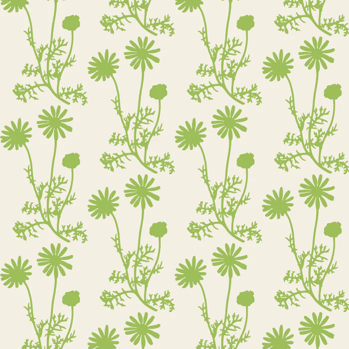 Wild Daisies Floral Botanical Pattern in Light Lime Green and Off White