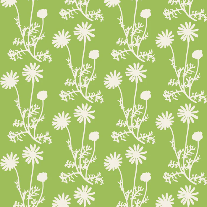 Wild Daisies Floral Botanical Pattern in Lime Green