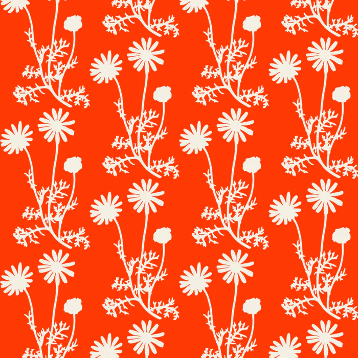 Wild Daisies Floral Botanical Pattern in Vibrant Orange