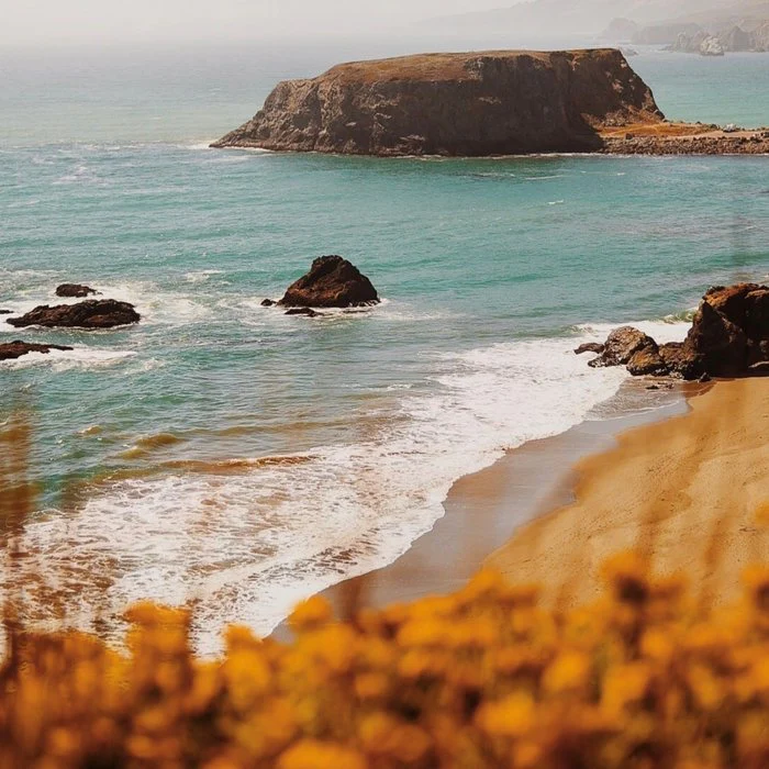 Coastal Scene in Bodega Bay