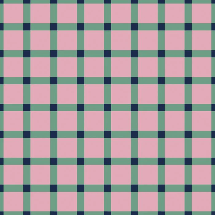 Pink and Green Gingham Pattern Modern Cottagecore Plaid Seamless Design for Cozy Home Decor