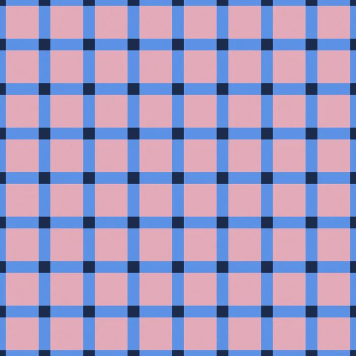 Pink and Navy Gingham Pattern  Modern Seamless Plaid Design for Cottagecore and Retro Decor