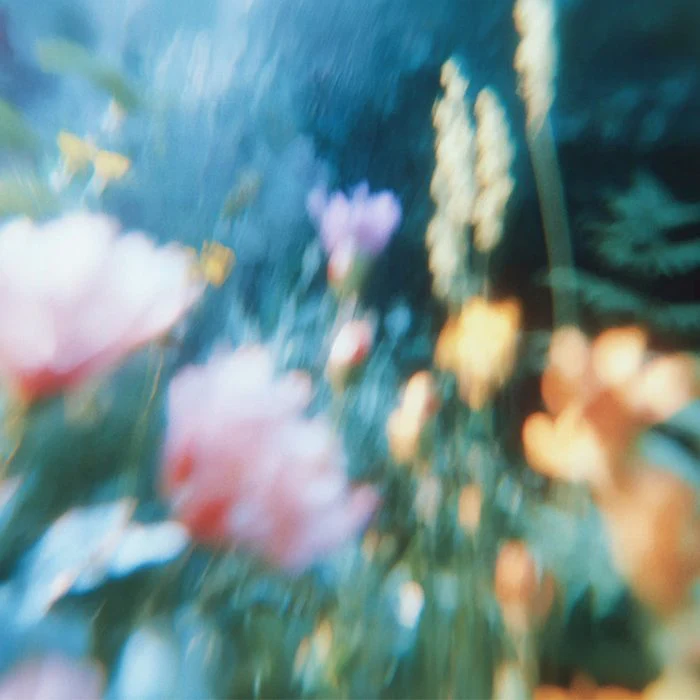 Dreamy Blurred Flower Garden - Soft Pastel Botanical Abstract