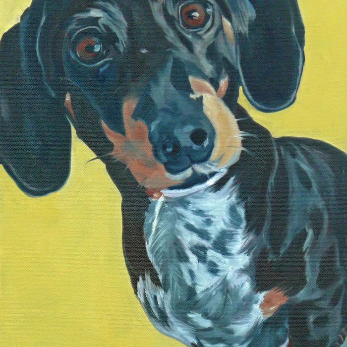 Dachshund Dog Portrait Art