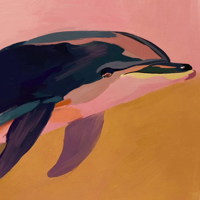 Abstract Dolphin