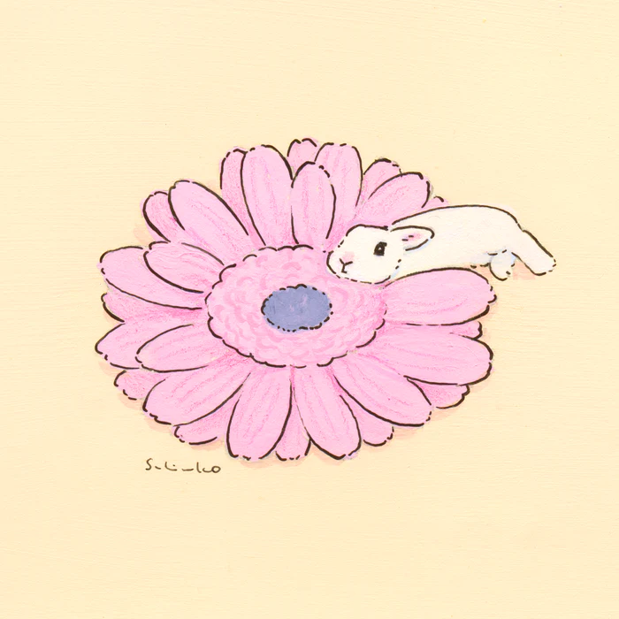 A rabbit with ears like gerbera petals