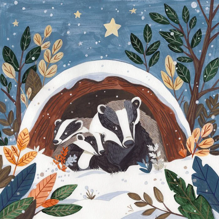 Badgers in Winter Hollow in the Snow
