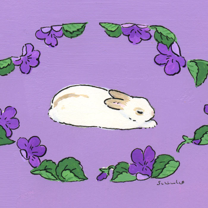 violet and a bunny