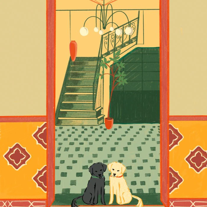 Loyal Companions Cozy Vintage Interior Illustration with Dogs