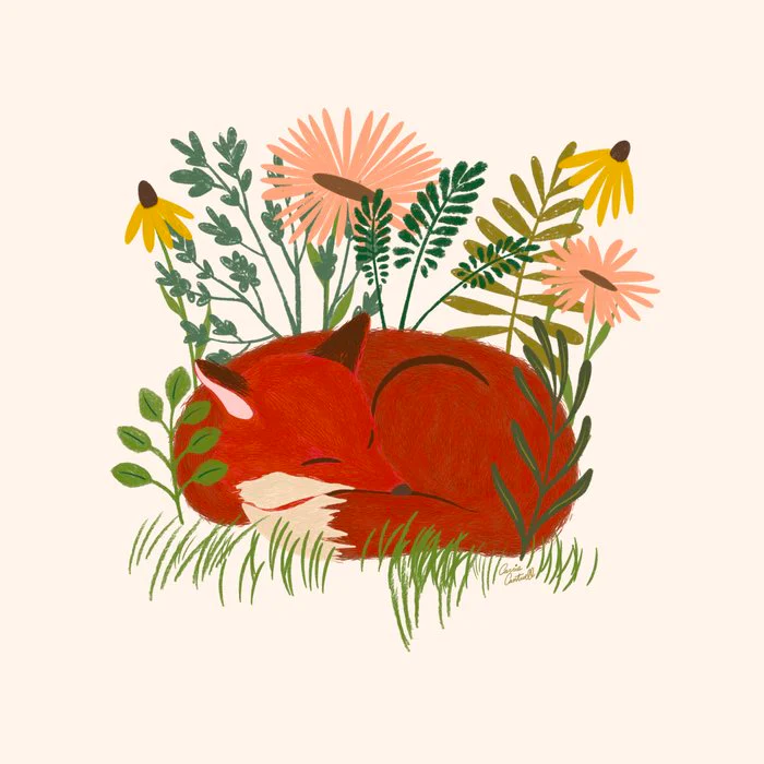 Sleeping Fox in a Meadow