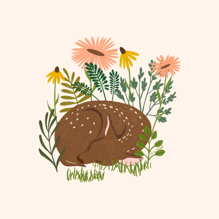 Sleeping Deer in a Meadow