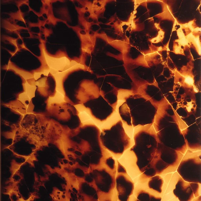 Tortoiseshell Leopard Pattern Amber and Espresso Spots with Animal Print