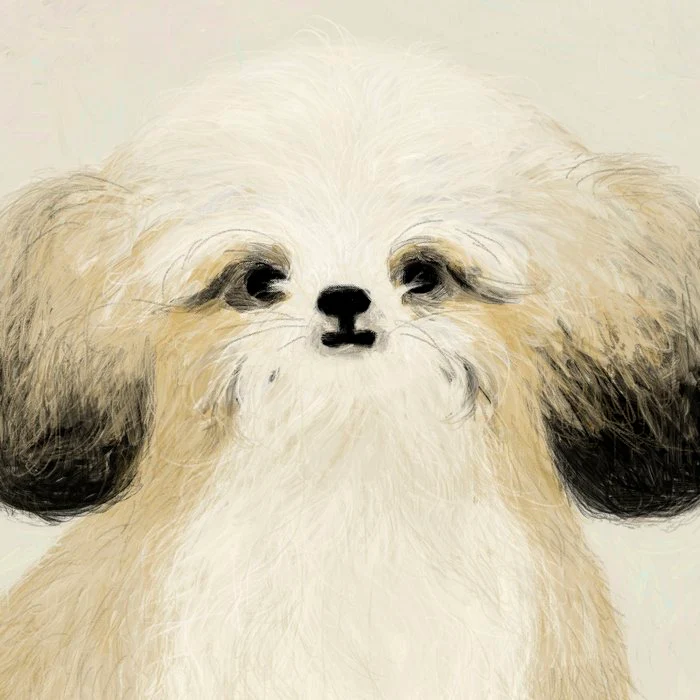 Cute dogs portrait. Wally