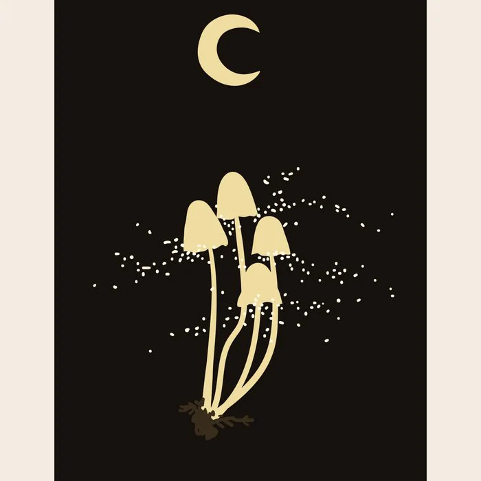 Mushroom and Moon, Magic and mystery vibes