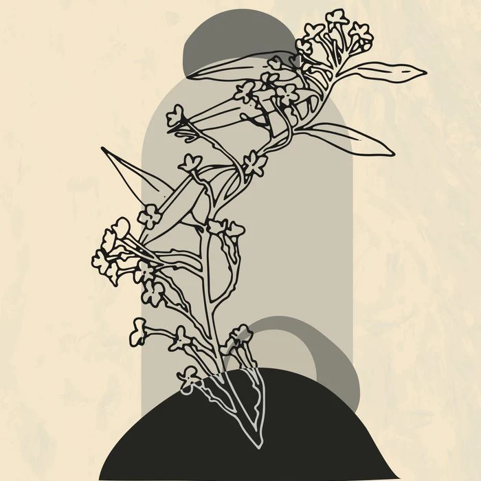 Abstract modern contour Flower