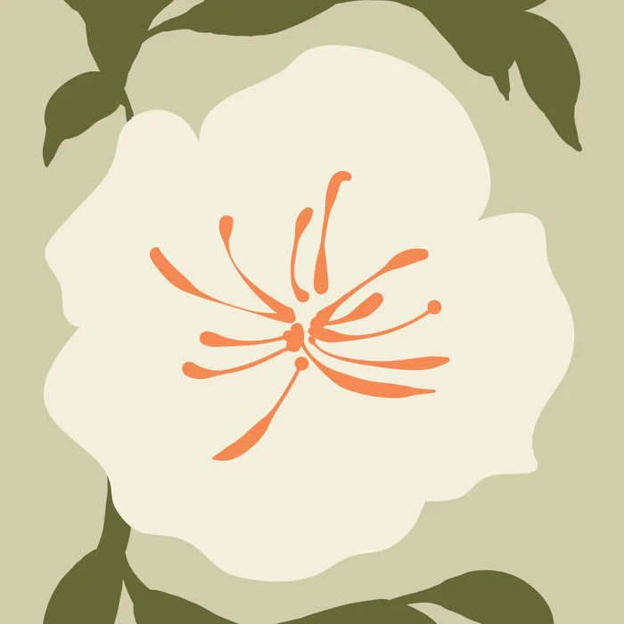 Abstract White Lilly Flower boho style